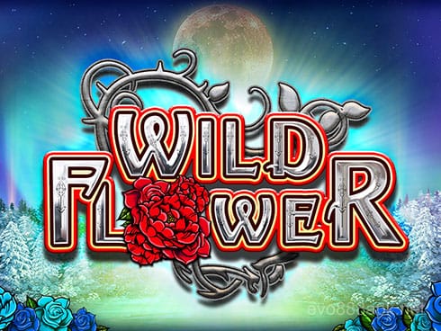 Wild Flower